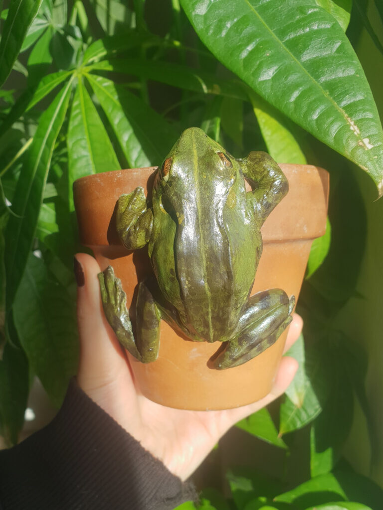 modelage grenouille argile auto-durcicante ava ÄVÄ lutherie pot plante