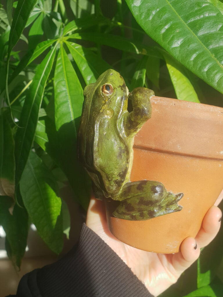 modelage grenouille argile auto-durcicante ava ÄVÄ lutherie pot plante