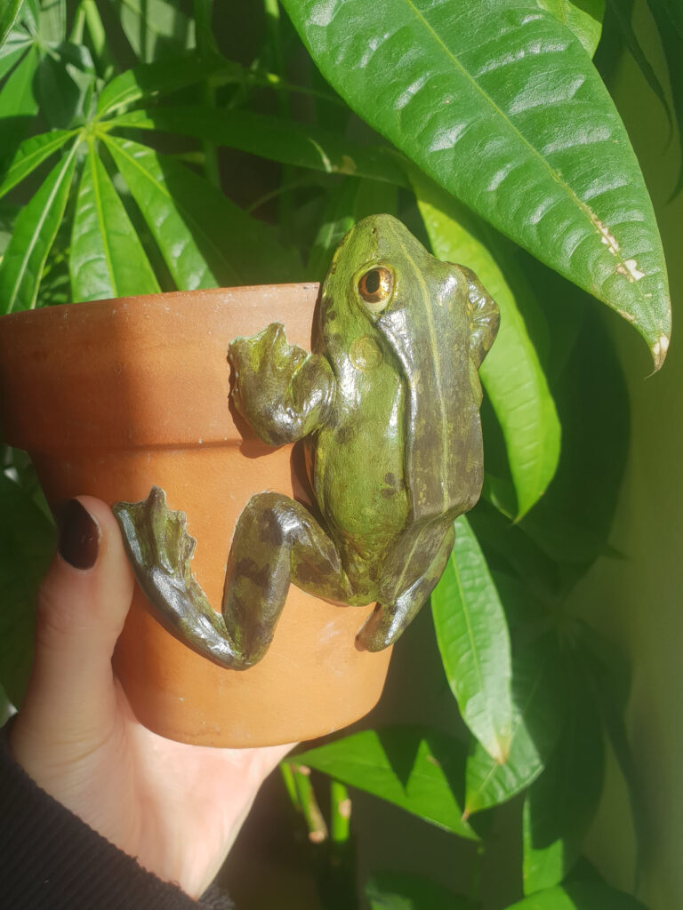 modelage grenouille argile auto-durcicante ava ÄVÄ lutherie pot plante
